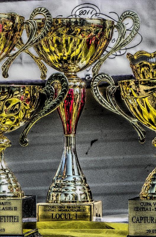 Cupa Verii MV2 - RB Baits - 2013 - 1015726hdrmode2.jpg